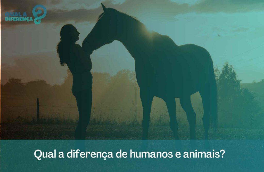 Qual a diferença de humanos e animais? 